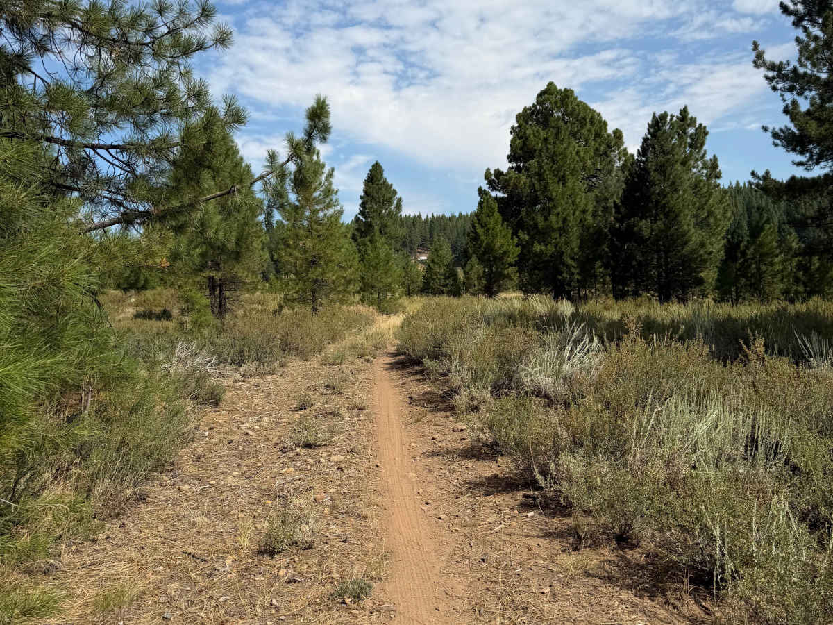 Dry Creek Trail photo 6