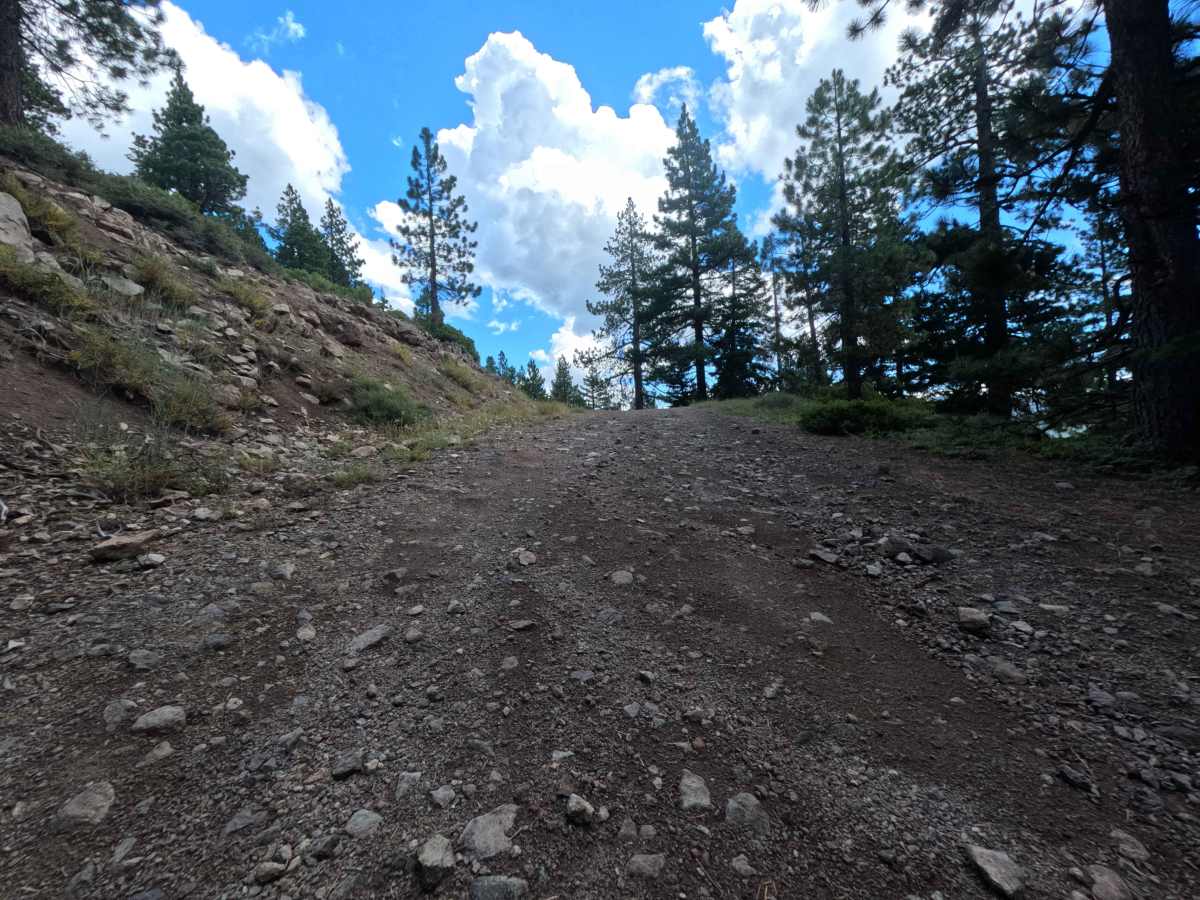 Pole Creek Spur - FS 5708-004 photo 4