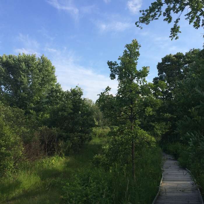 Near Ice Age Trail: Brooklyn Wildlife Area Segment