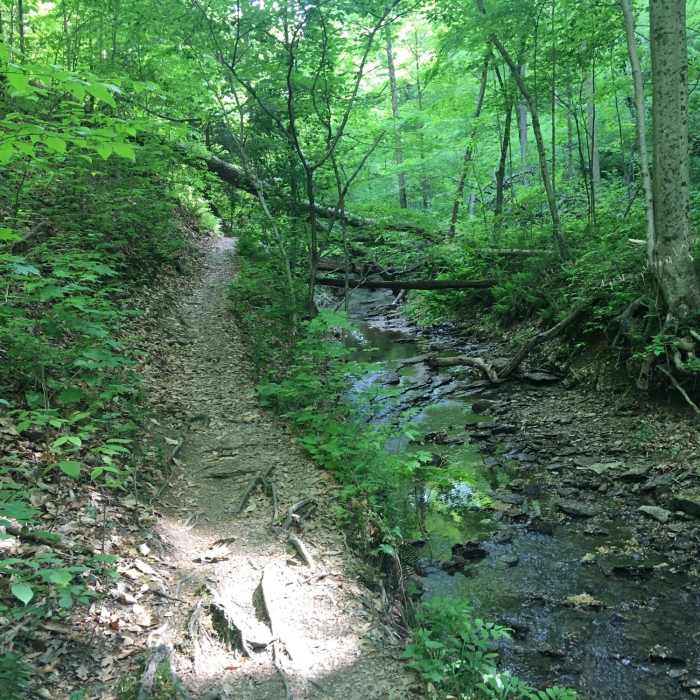 Heading south along the river. Busy park road further to the right. Near Mohican Loop