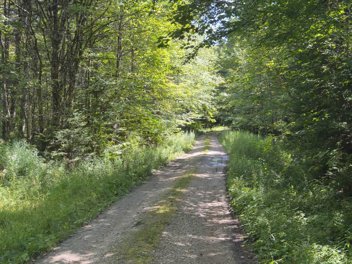 Rock City Road photo 3
