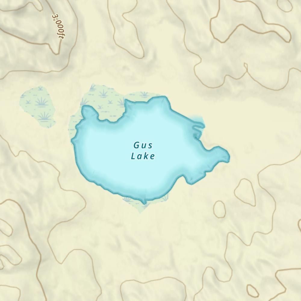 Gus Lake photo