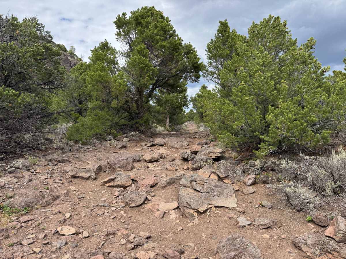 Trailhead Road photo 4