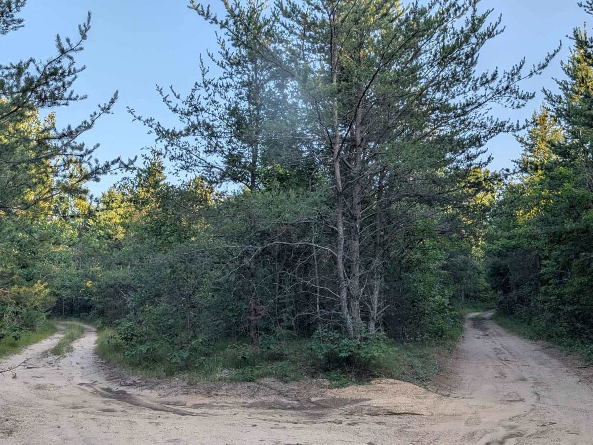 Stelmach Trail photo 5