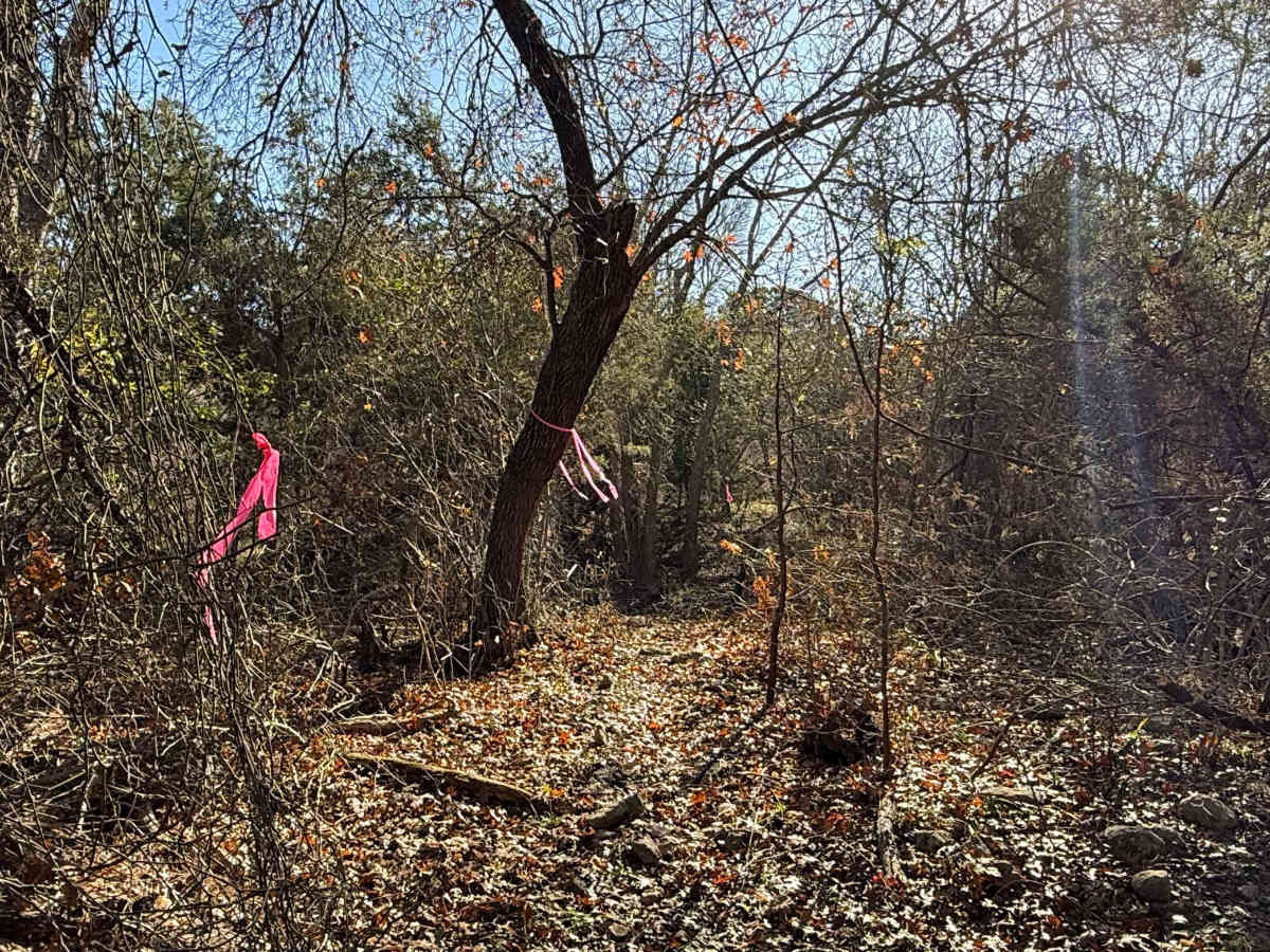 The Gallows photo 6