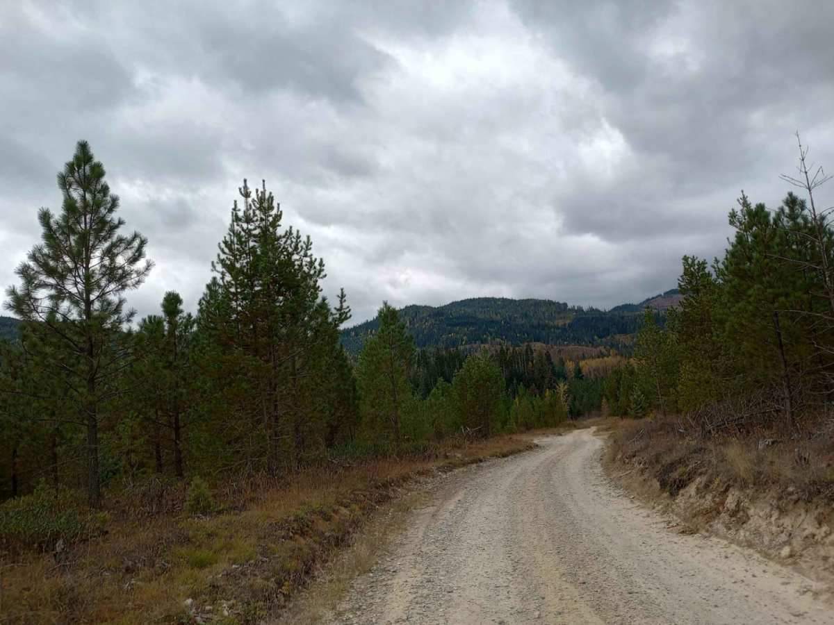 Mt Spokane via IEP Backroads photo 5