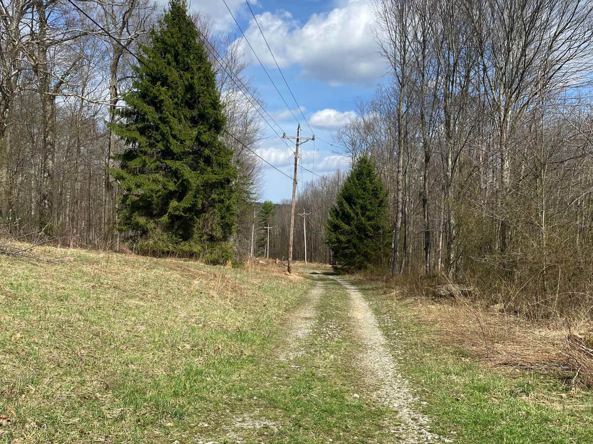 Blackberry Lane trail photo