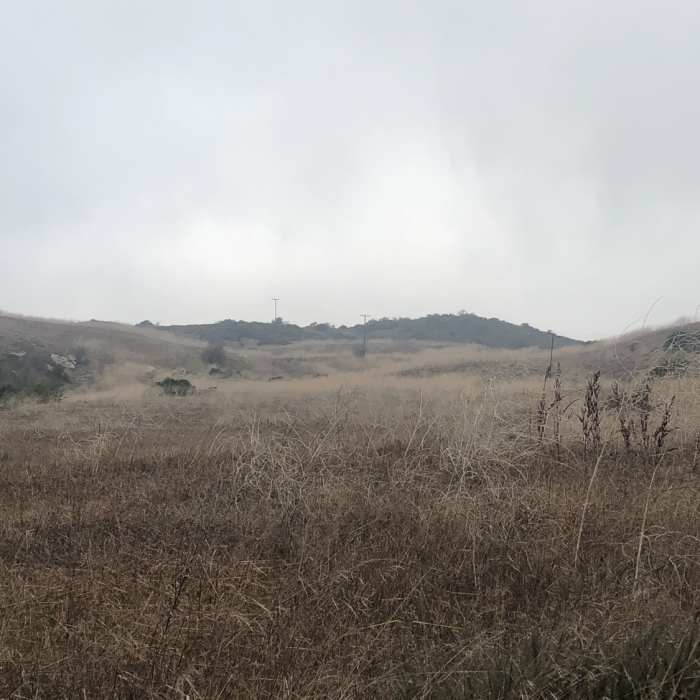 Near Bommer Canyon-Turtle Ridge Loop