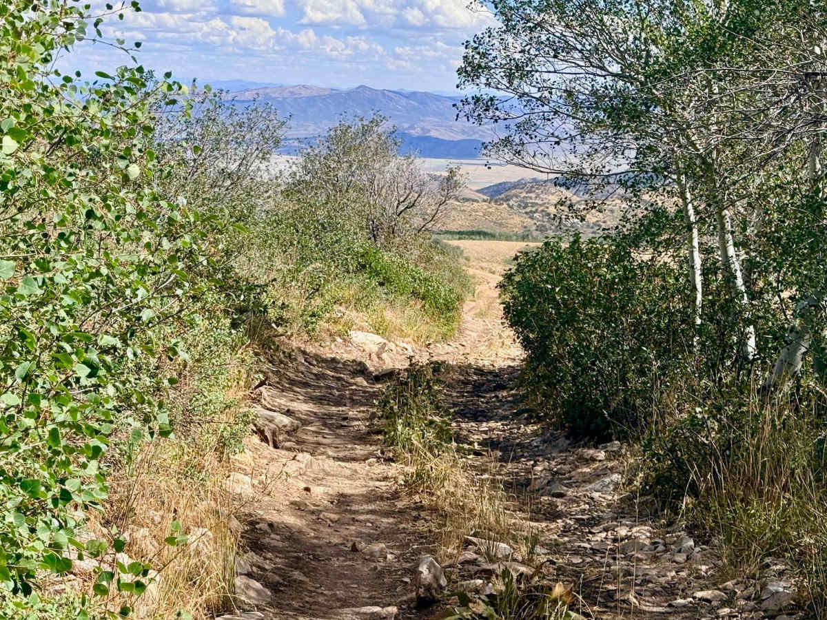 Green 1 Trail - FS 17713 photo 5