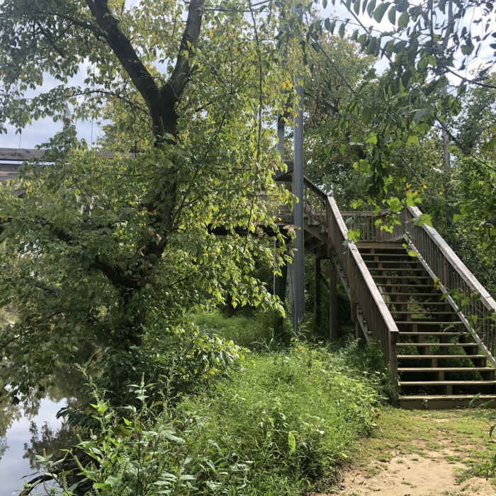 Near Beaver Pond to Basin Overlook Out-and-Back