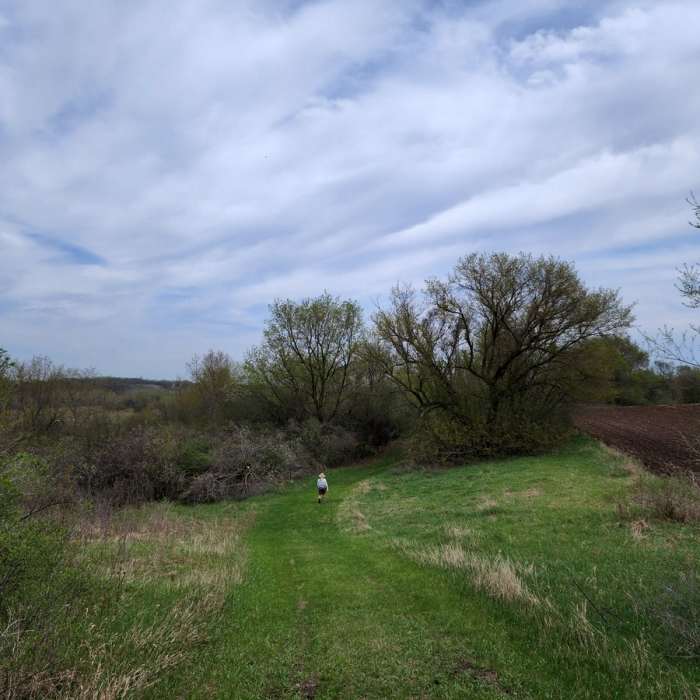 Near Wetland Loop Trail