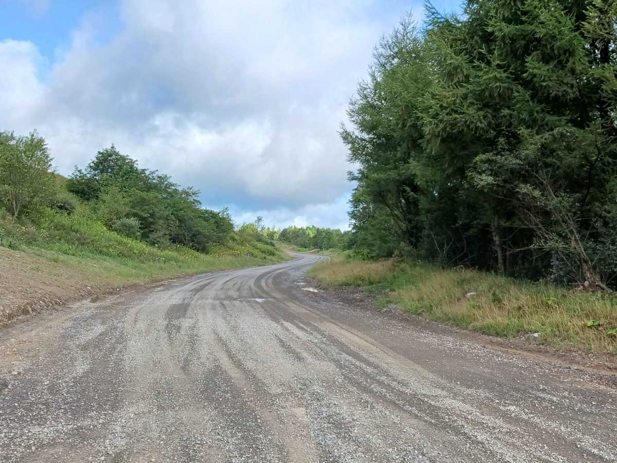 Coal Haul Road - Rock Run Recreation Area photo 5