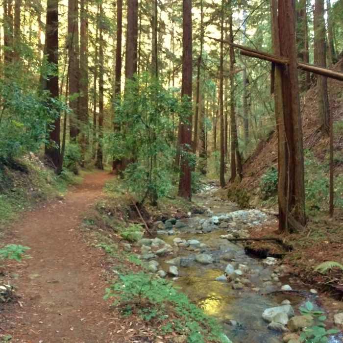 Near Fall Creek Trail