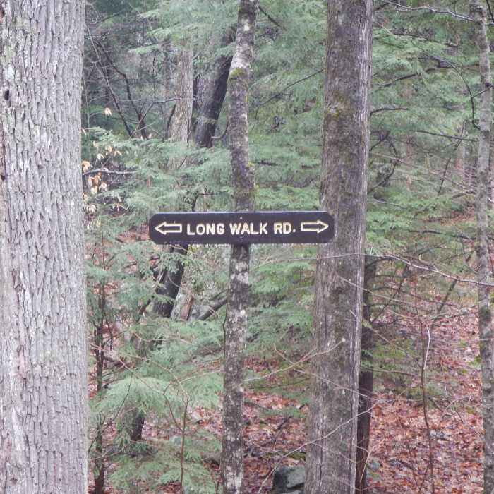 Long Walk Road Near Beartown Mountain Trail