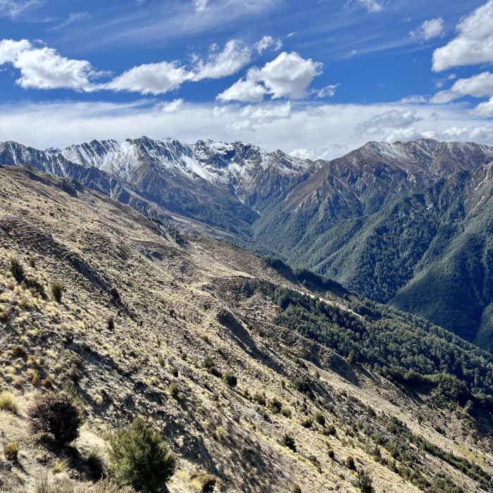 Near Sawyer Burn Track Near Sawyer Burn Track