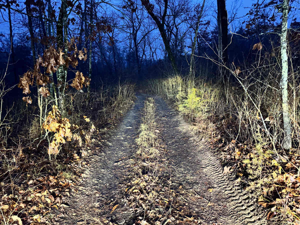 FS 165A trail photo