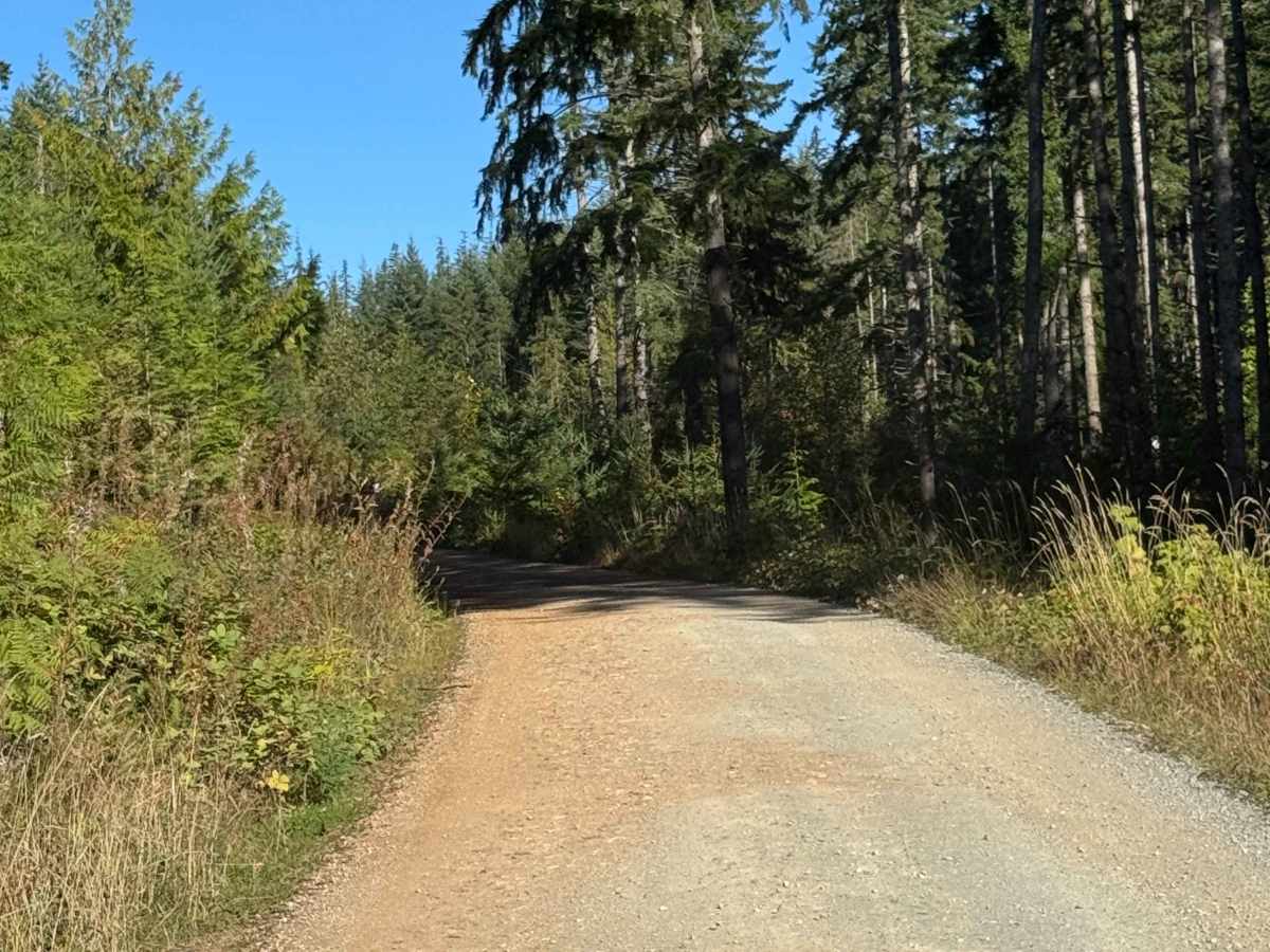 Walker Valley Mainline photo 6