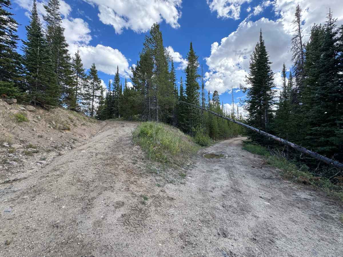 White Slides Road trail photo