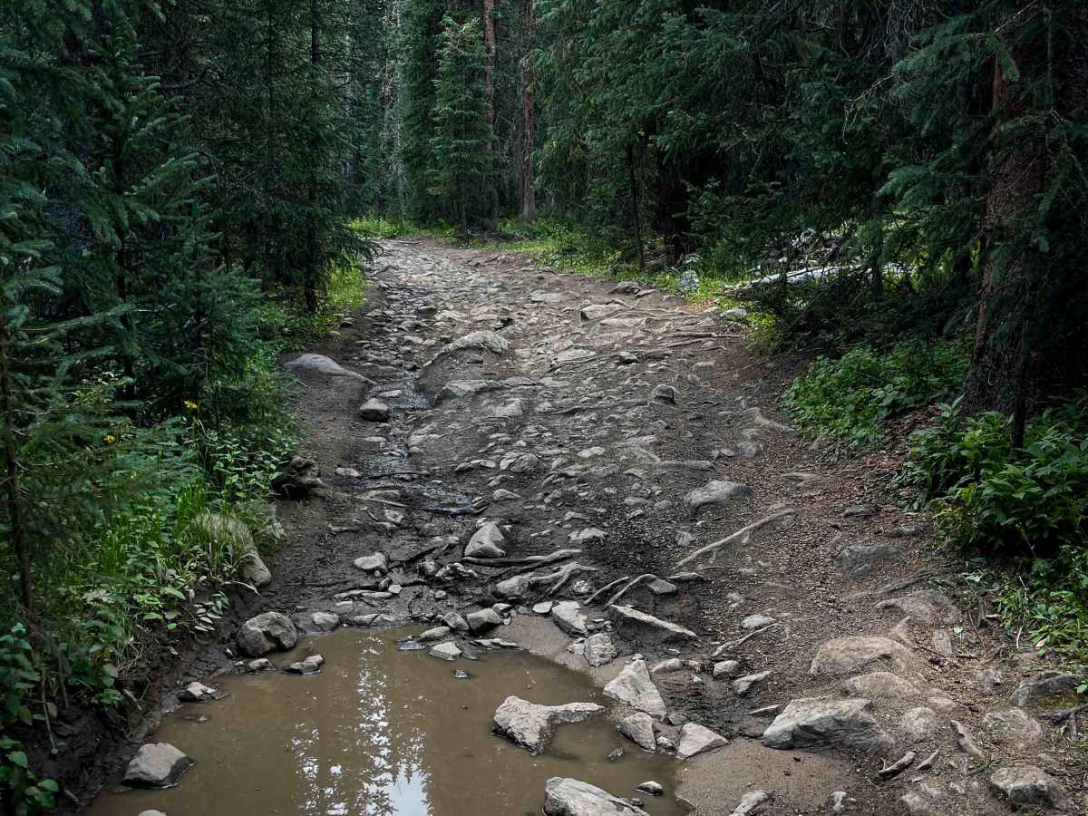 South Fork Swan Trail #9088  photo 3