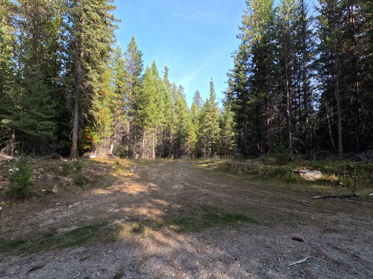 FS 3140510 trail photo