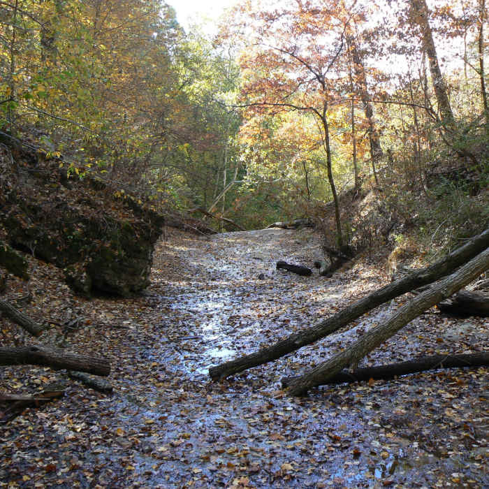 Near Trail 4