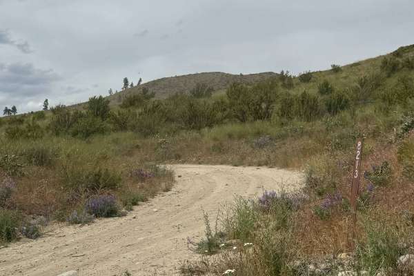 Johnson Creek Road - FS 8213