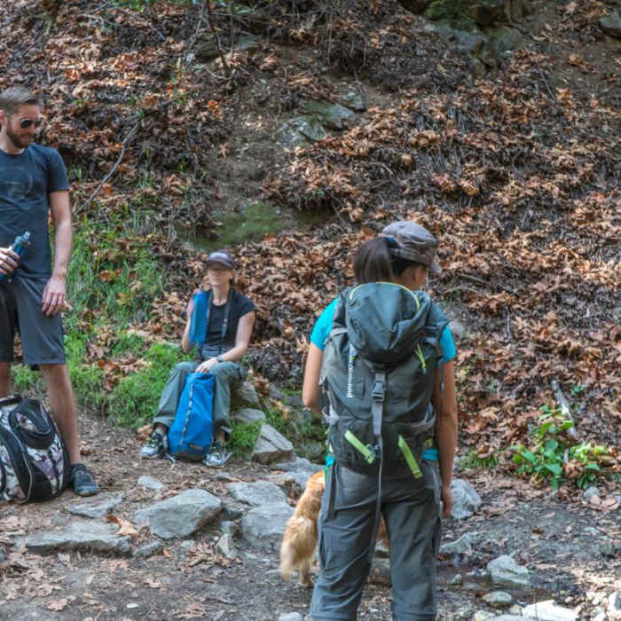 Near Mount Wilson via Mount Wilson Trail