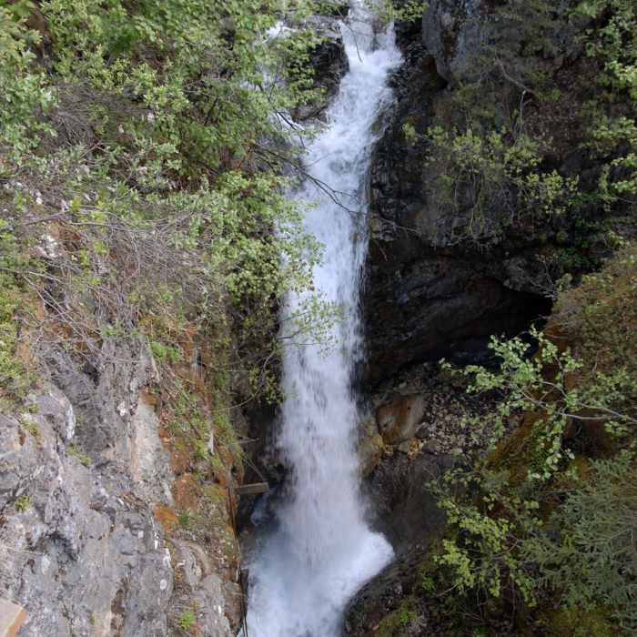 Near Root Glacier Trail Near Root Glacier Trail