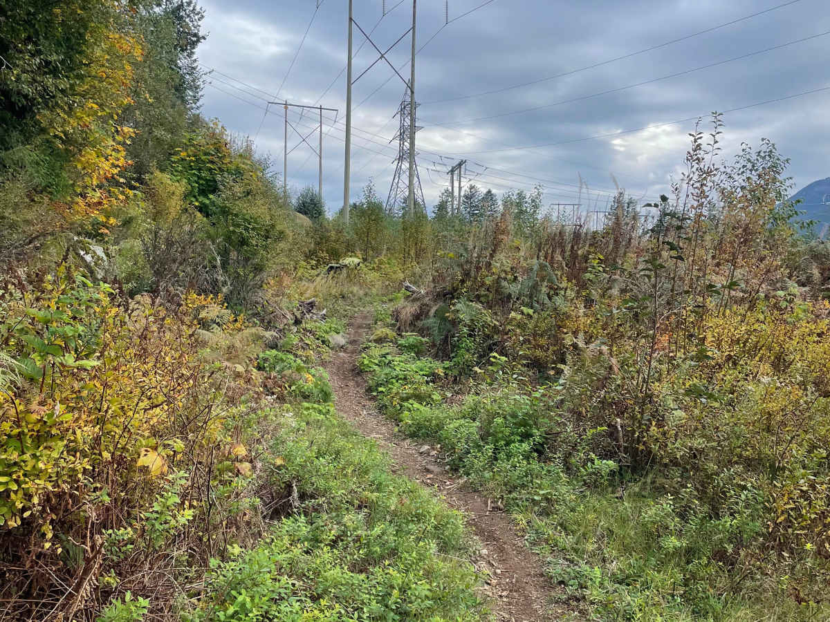Trials Zone Access photo 4