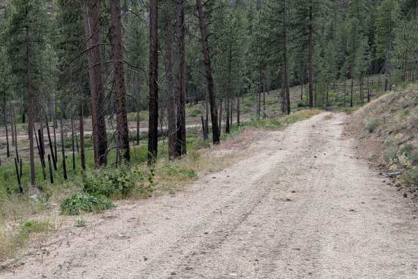 Lower Thrapp Mountain - E332419e