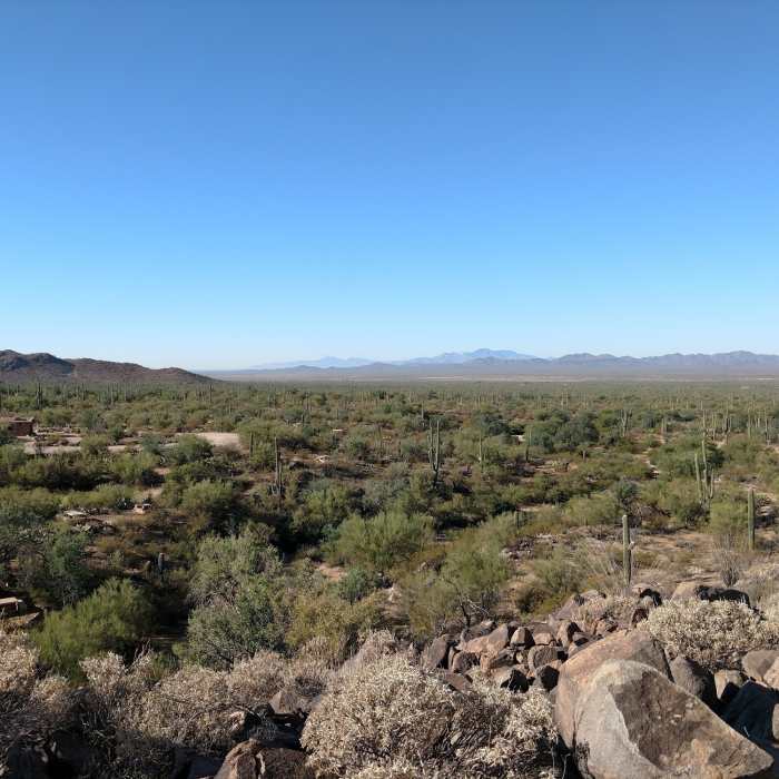 Near Cactus Wren Trail