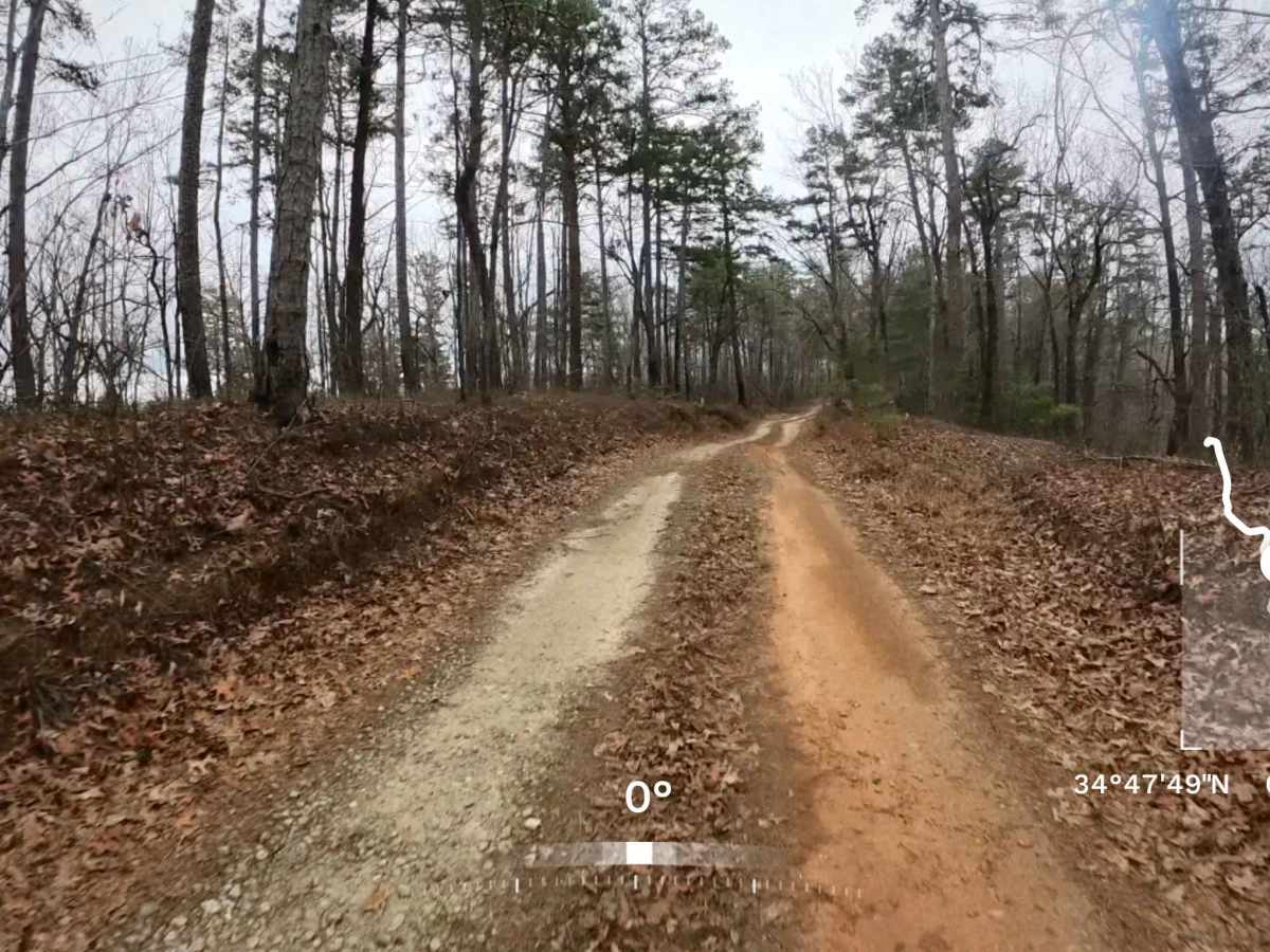 Deaden Timber Road - FS 825 photo 4
