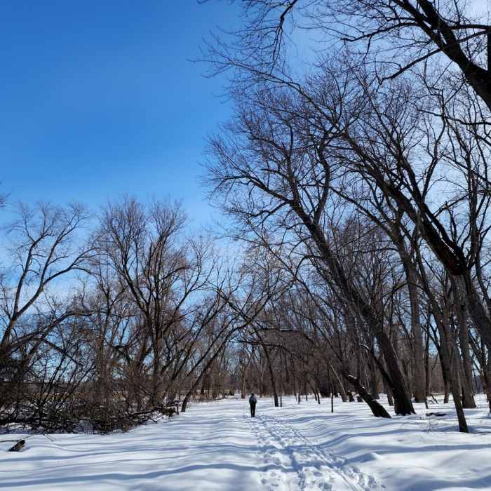 The floodplain forest in winter. Near Long Meadow Lake Trail