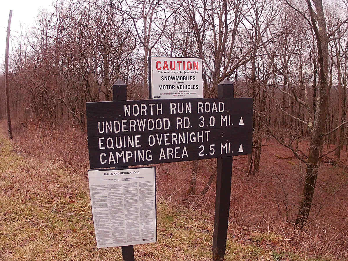 North Run Road trail photo
