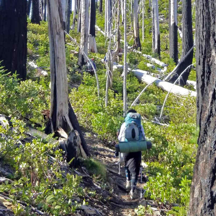 Near Chetco River Hike via Babyfoot Lake Trailhead