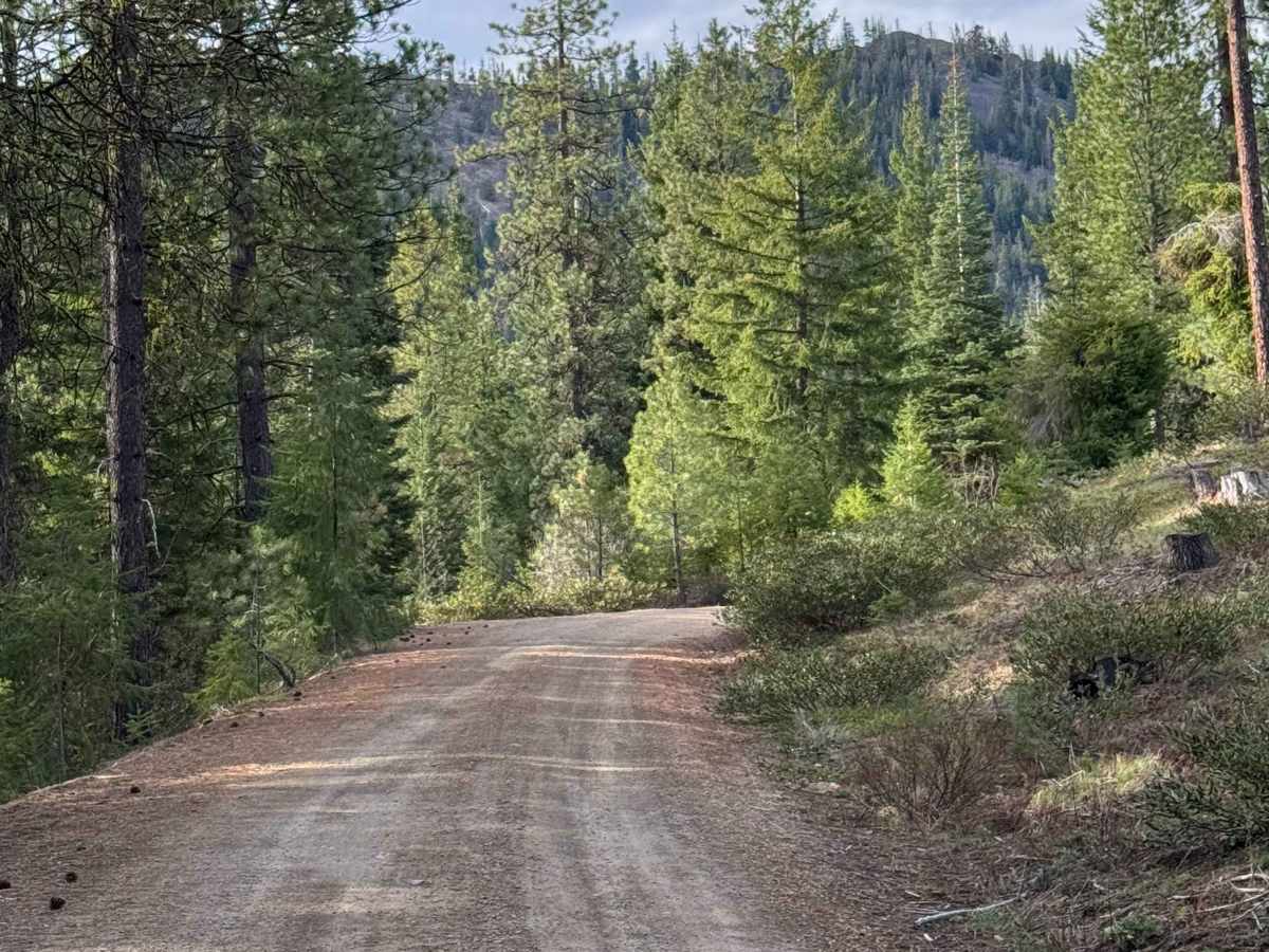 Russell Ridge - FS 1306 photo 4