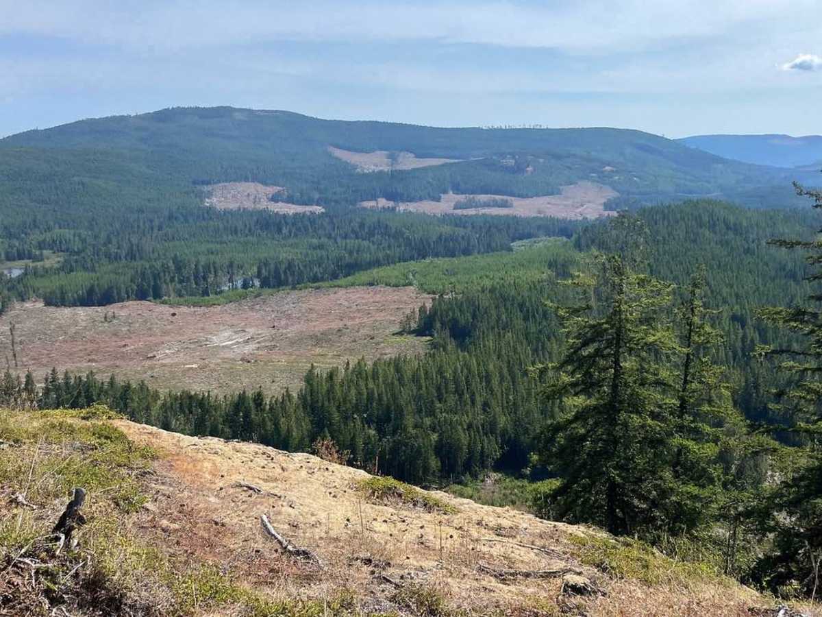 ArmDong trail photo