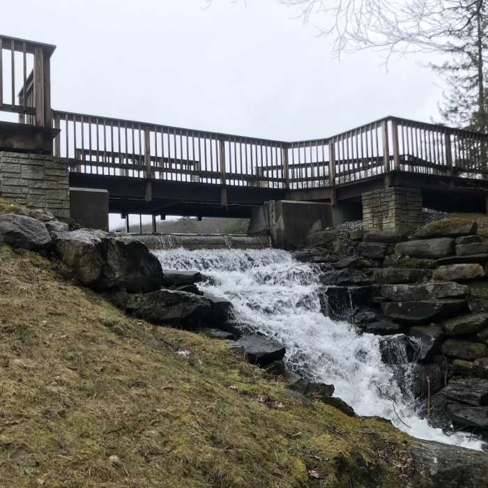 Small cascade below the boardwalk. Near Beartown Mountain Trail