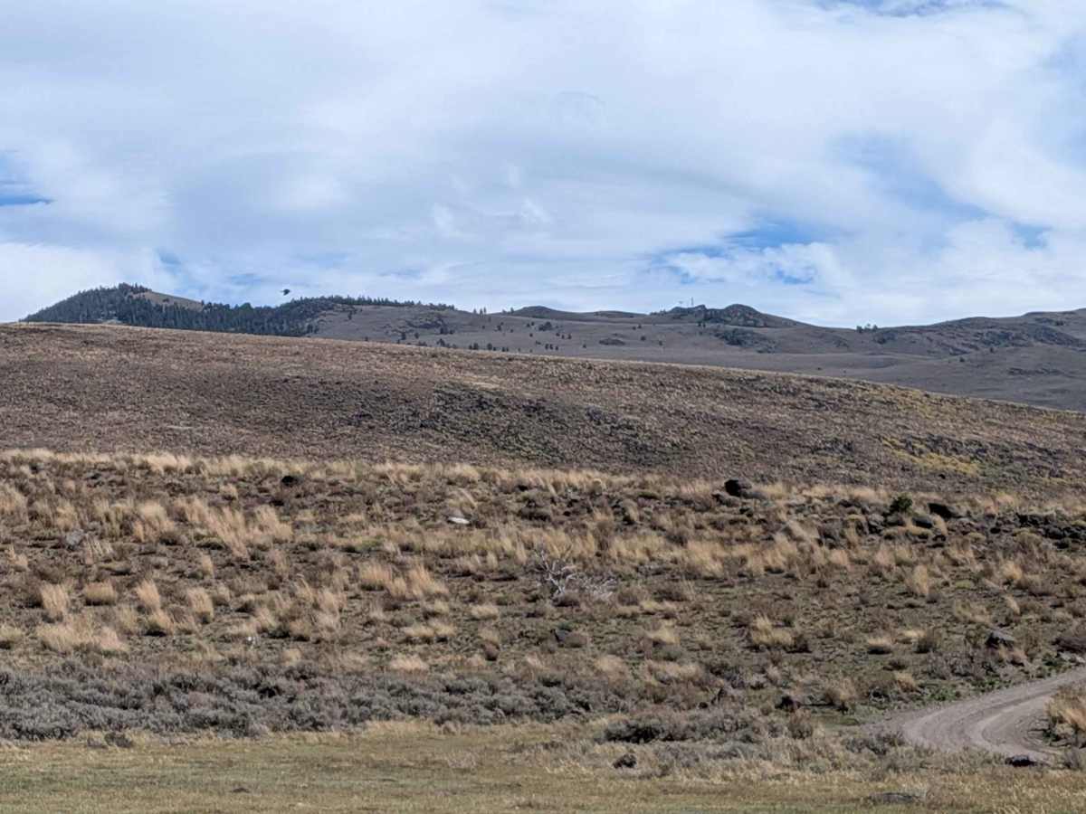 Burcham Flat Road South photo 4