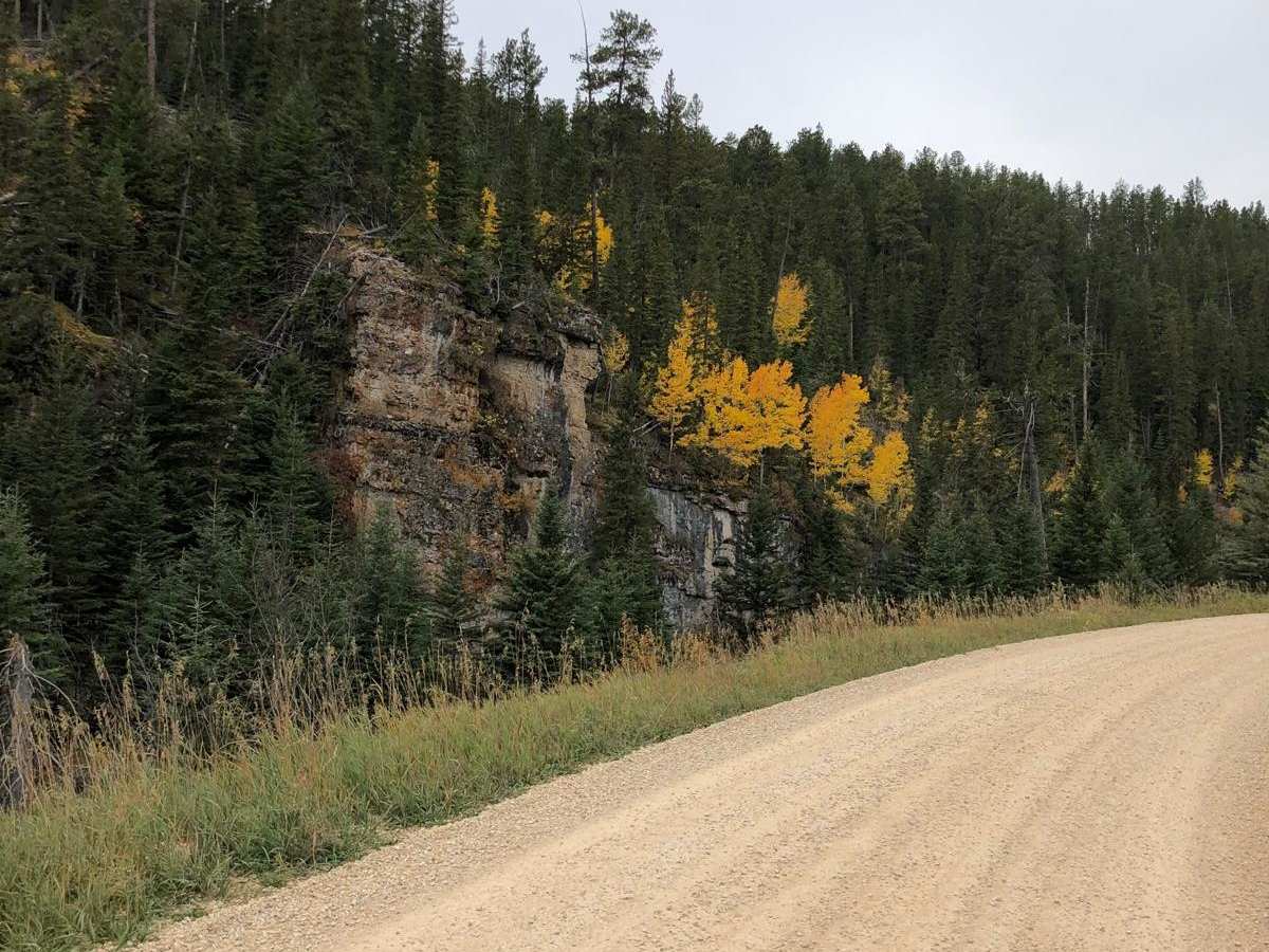 Beaver Creek Road(FS 111) trail photo