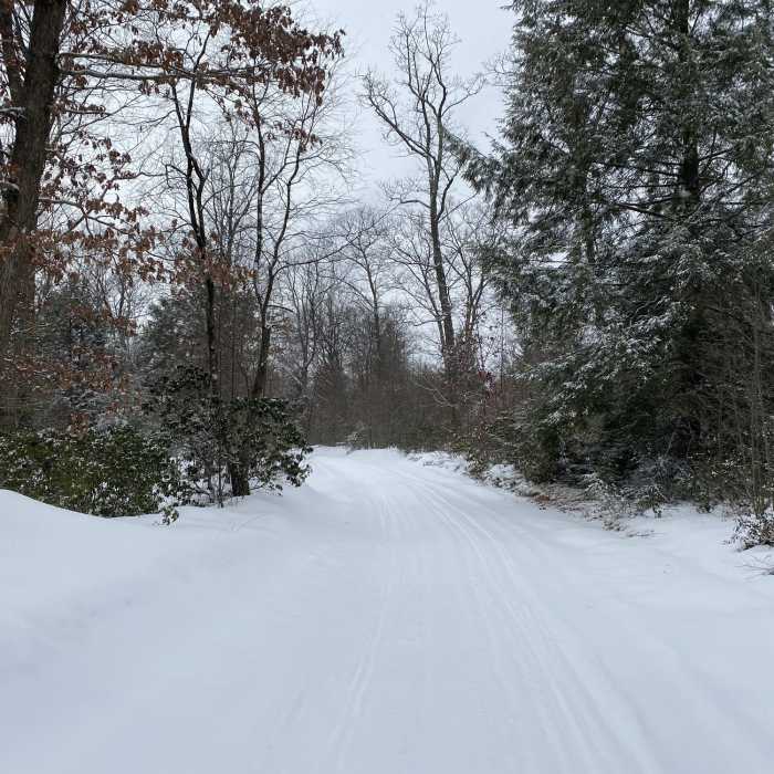 Camp Conly Access Road Near Little Bear Creek Loop