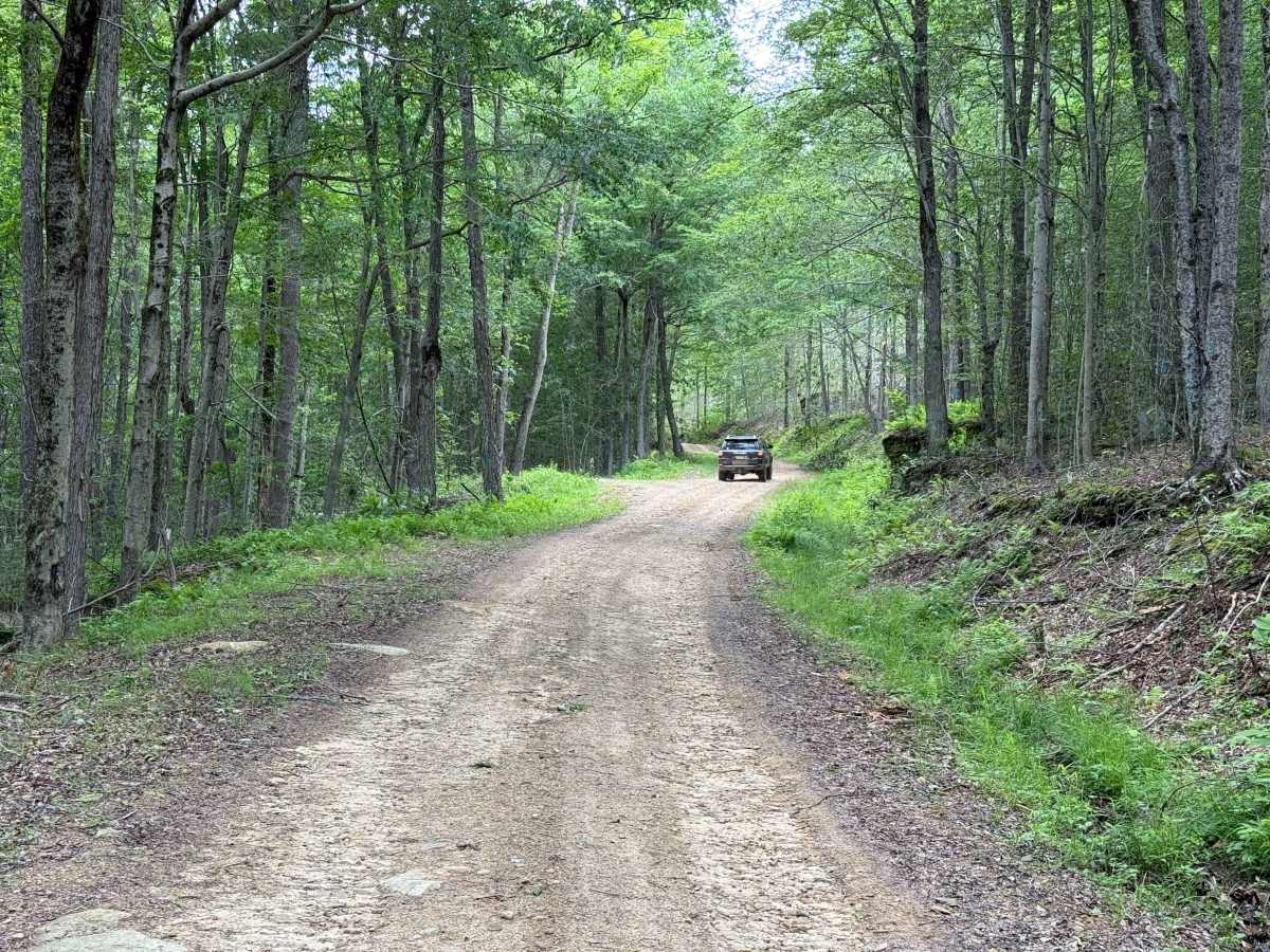 Whiting Run - FS 321 photo 6