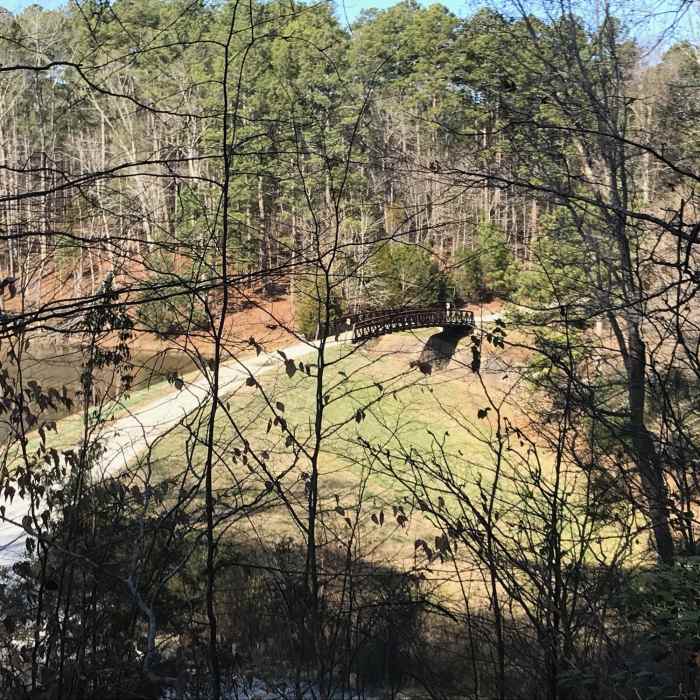 Reedy Creek Lake Dam and spillway as seen from the S. Turkey Creek MUT. Near Turkey Creek/Cedar Ridge Loop