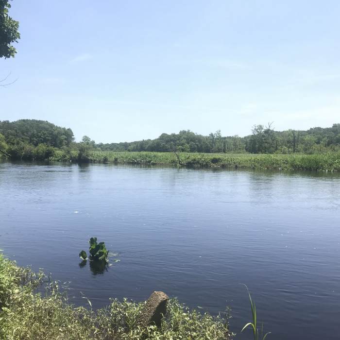 Rancocas Creek Near Four-mile Loop