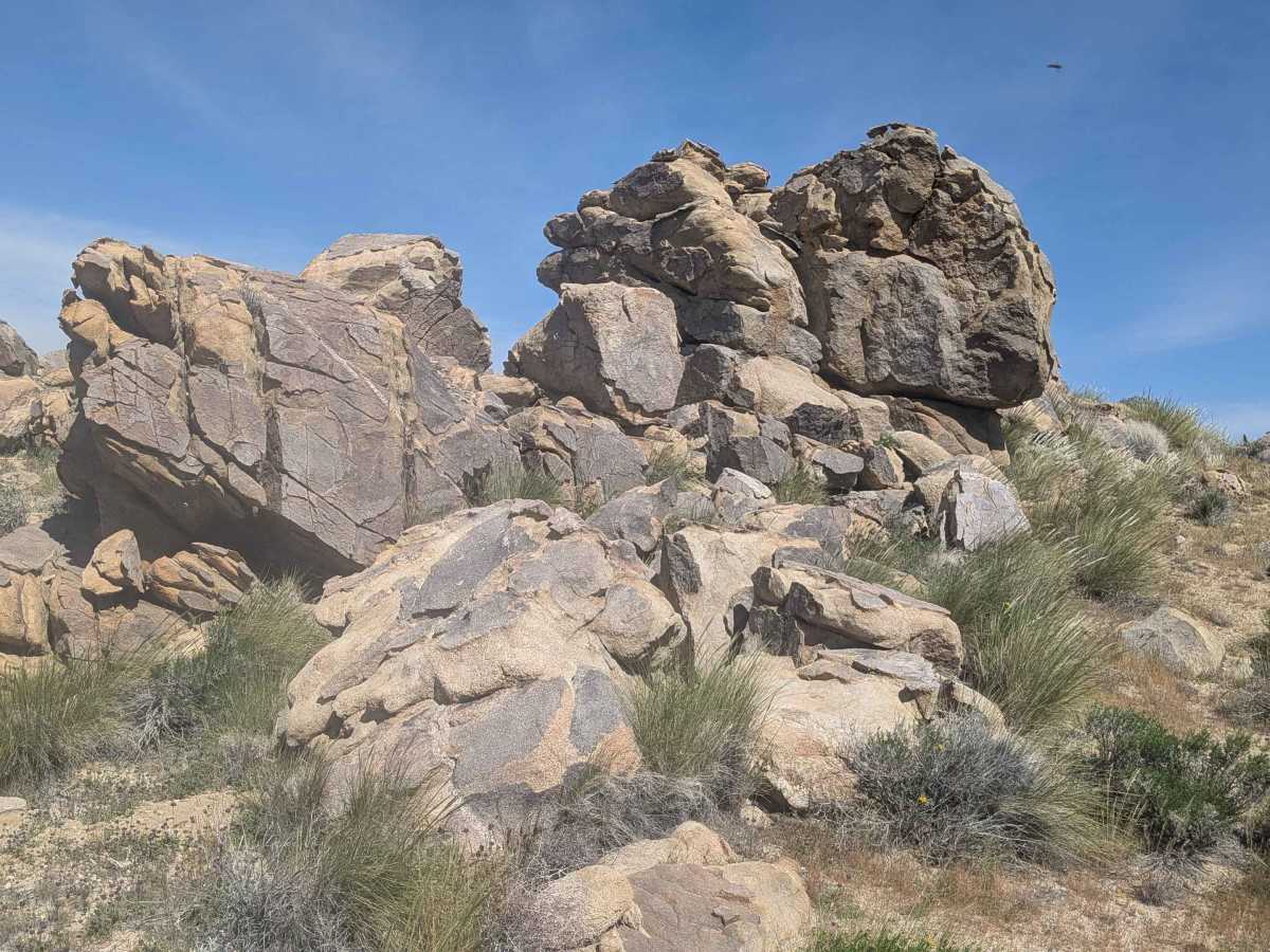 BLM SC44 photo 6