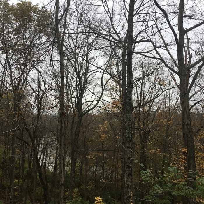 Overlooking the Little Miami Near Carter Park Outer Loop