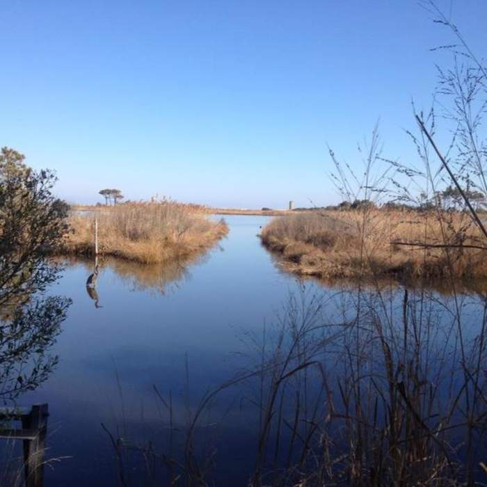 Near Gordons Pond Trail