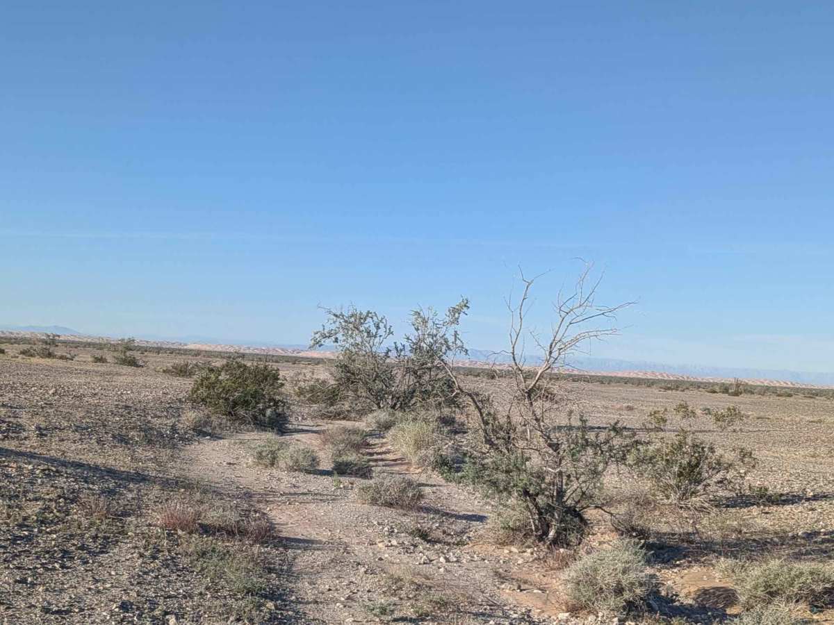 BLM 702 photo 4