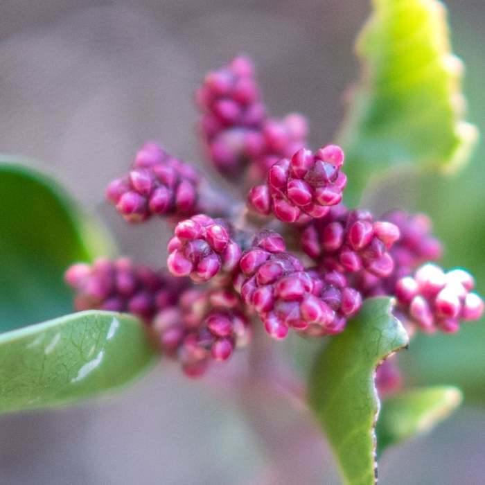 Near Cottonwood Creek Falls