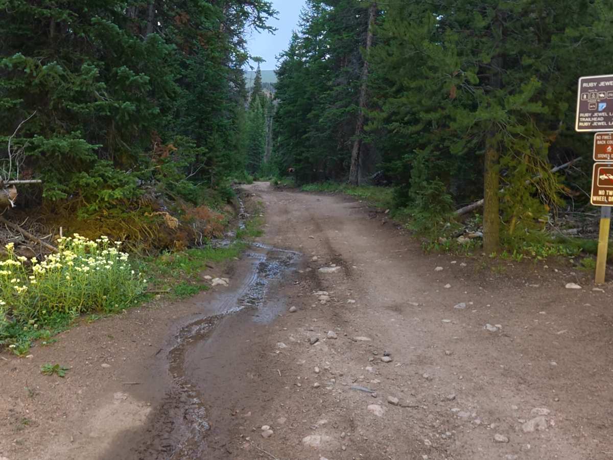 Ruby Jewel Road South photo 2
